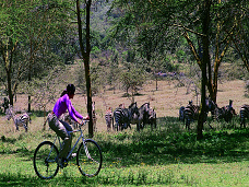 Na bicykli Keňa