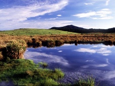 Nrodn park Horton Plains