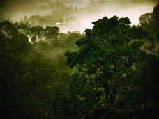 Daov prales, Sr Lanka