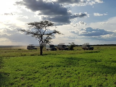 Džípovisko - parkovisko pre safari autá pri kempe Sound of Silence, Serengeti, Tanzánia