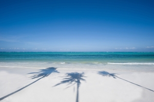 pláž Zanzibar