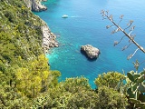 Capri jachty