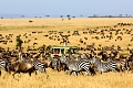 Enkorok Mara Camp, Masai Mara, Kea