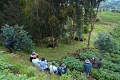 Rezort Virunga Lodge , Colline Gakoro