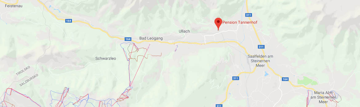 mapa Penzin Tannenhof, Leogang