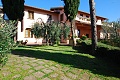 Villa Vigna, Grosseto
