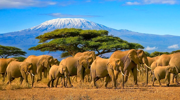 Afrika