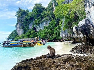 Monkey Beach