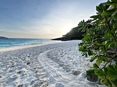 karety Similan