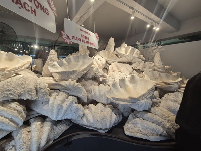 Skamenen� last�ry