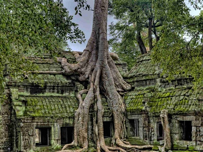 ChramTa Prohm