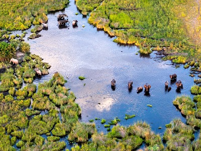 leteck safari nad deltou Okavango v Botswane