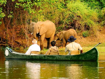 vodn safari po Zambezi v Zambii