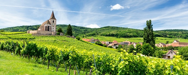 vinice vo Franczsku