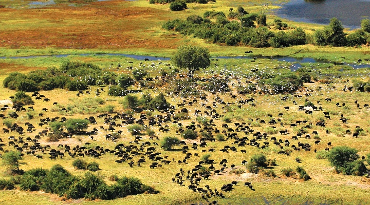 Botswana