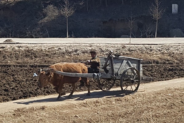 Ponohospodrstvo