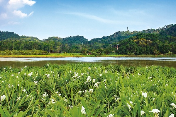 Taiwan