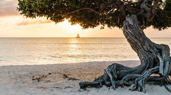 Aruba