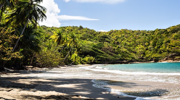 Dominica