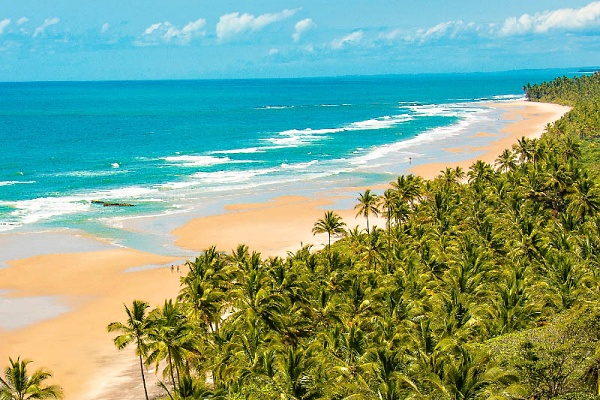 Palm beach