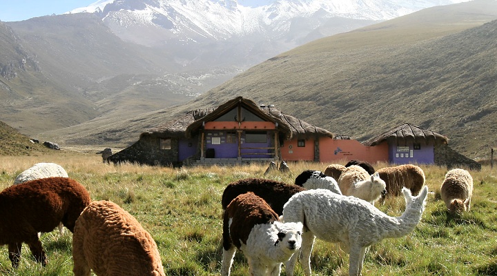 Ecuador