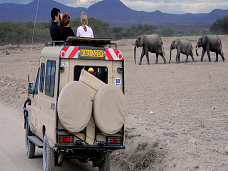Slony Keňa