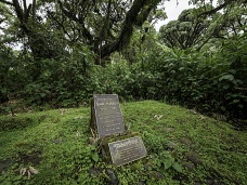 Pamätník Dian Fossey, Rwanda