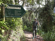 Smerovka Canopy trail, Rwanda