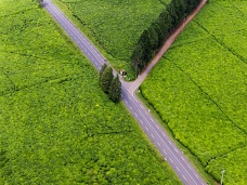Cesta, Rwanda