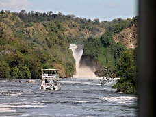 Vletn lo, NP Murchison Falls, Uganda