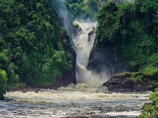 Dramatick Nl v Murchison Fallas, Uganda