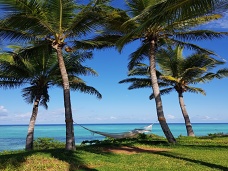 Hojdacia sie medzi palmami, Zanzibar
