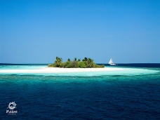 Plachtenie, Maldivy