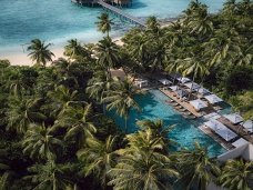 Kokosov palmy,Maldivy