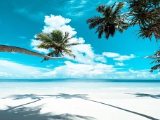  Ocen, piesok, palmy,Maldivy