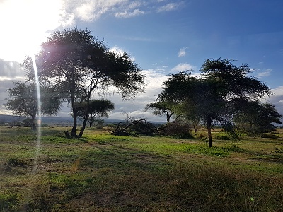 Nrodn park Serengeti, Tanznia