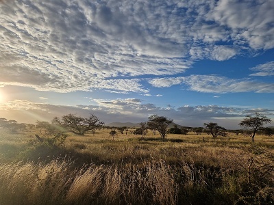 Zpad slnka v Serengeti, Tanznia