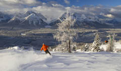freeride