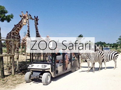 ZOO Safari Ravenna