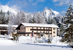 hotel ALPINA