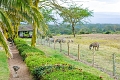 Lake Nakuru Lodge, Nakuru, Kea