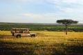 Tipilikwani Mara Camp, Masai Mara, Kea