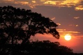 Tipilikwani Mara Camp, Masai Mara, Kea