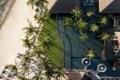 Hotel Belle Mare Plage, Constance, Mauricius