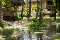 Hotel Belle Mare Plage, Constance, Mauricius