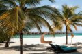 Hotel Belle Mare Plage, Constance, Mauricius