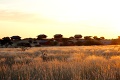Bagatelle Kalahari Game Ranch, Kalahari, Nambia