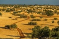 Bagatelle Kalahari Game Ranch, Kalahari, Nambia