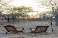 Kemp Onguma Forest, Nrodn park Etosha, Nambia