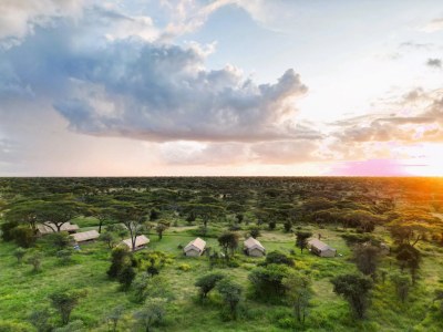 Africa Safari Ngorongoro Ndutu Camp, Ndutu